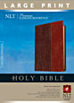 http://files.tyndale.com/thpdata/images--covers/115_h/978-1-4143-1398-6.jpg