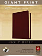 http://files.tyndale.com/thpdata/images--covers/115_h/978-1-4143-1986-5.jpg