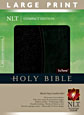http://files.tyndale.com/thpdata/images--covers/115_h/978-1-4143-3758-6.jpg