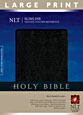 http://files.tyndale.com/thpdata/images--covers/115_h/978-1-4143-3847-7.jpg