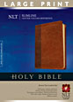 http://files.tyndale.com/thpdata/images--covers/115_h/978-1-4143-3851-4.jpg