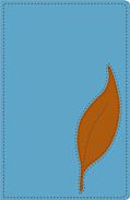 click to enlarge