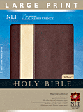 Premium Slimline Reference Bible NLT, LP, TuTone cover