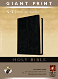 Cover: Holy Bible, Giant Print NLT