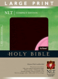 Cover: Compact Edition Bible NLT, Large Print, TuTone