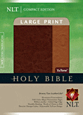 Cover: Compact Edition Bible NLT, Large Print, TuTone