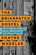 Cover: The Briarpatch Gospel