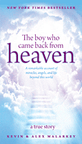 Cover: The Boy Who Came Back from Heaven