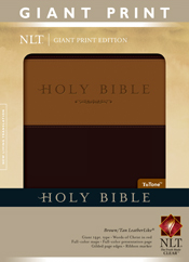Holy Bible, Giant Print NLT, TuTone Holy Bible, Giant Print NLT, TuTone