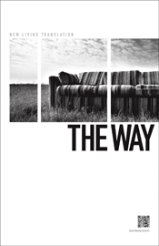 The Way The Way