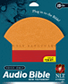 Holy Sanctuary, Bible on CD Voice Only NT NLT : 15 CDs