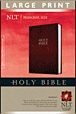 Personal Size NLT, Large Print : Hardcover