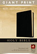 Holy Bible, Giant Print NLT : Imitation Leather, Black