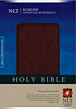 Slimline Center Column Reference Bible NLT : Bonded Leather, Bungundy, Indexed