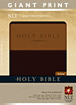 Holy Bible, Giant Print NLT, TuTone : LeatherLike, Brown/Tan, Indexed