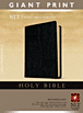 Holy Bible, Giant Print NLT : Bonded Leather, Black