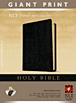 Holy Bible, Giant Print NLT : Bonded Leather, Black, Indexed