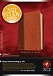 NLT Study Bible, Personal Size : LeatherLike, Brown/Tan