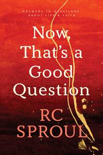Now, That's a Good Question: Softcover