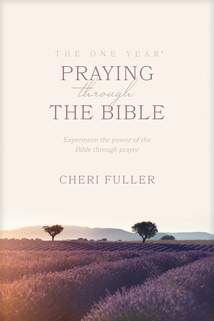 The One Year Praying through the Bible: Softcover