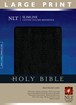 Slimline Center Column Reference Bible NLT, Large Print