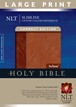 Slimline Center Column Reference Bible NLT, Compact edition, Large Print