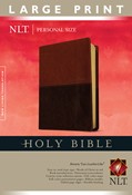 Cover: Holy Bible NLT, Personal Size Large Print edition