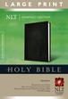 Compact Edition Bible NLT, Large Print