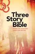Cover: Three Story Bible NLT