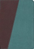 Cover: The Message Compact