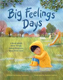 Big Feelings Days: Hardcover
