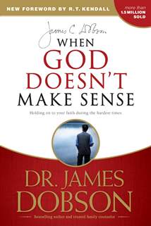 When God Doesn't Make Sense: Softcover
