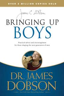 Bringing Up Boys: Softcover