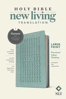 NLT Large Print Premium Value Thinline Bible, Filament Enabled: LeatherLike, Eucalyptus Teal