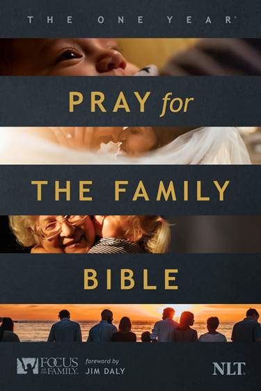 Cover of The One Year Chronological Bible by Tyndale House Publishers
