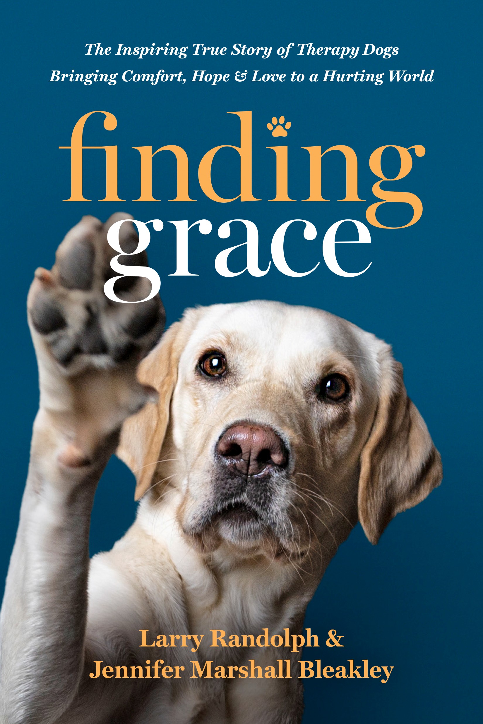 Finding Grace Tyndale - Main Image
