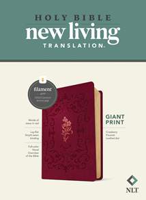 NLT Giant Print Bible, Filament Enabled: LeatherLike, Cranberry Flourish, Red Letter
