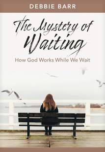 The Mystery of Waiting: Softcover