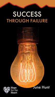 Success through Failure: Softcover