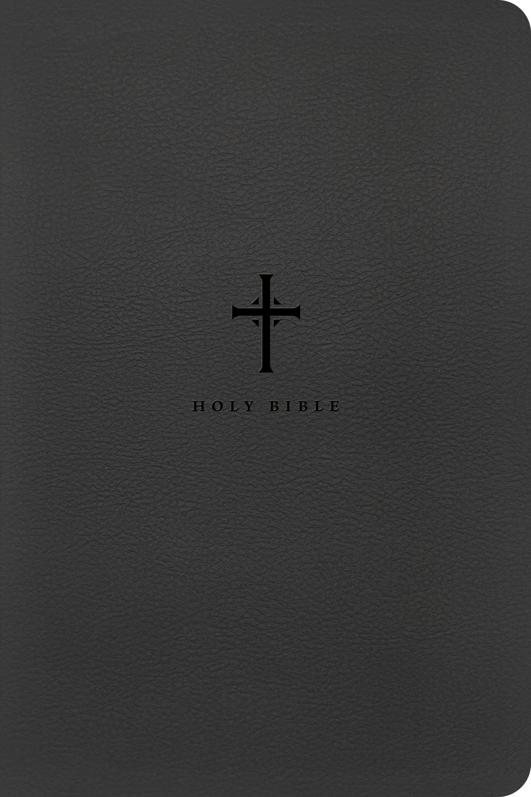 Tyndale | NLT Large Print Premium Value Thinline Bible, Filament